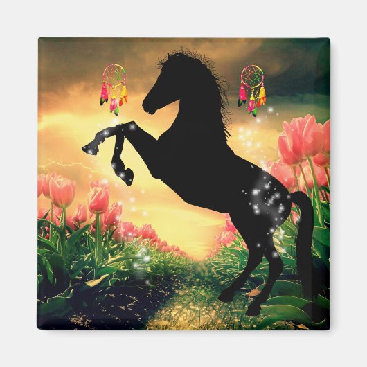 Drocatcher Magneet (Voorkant)