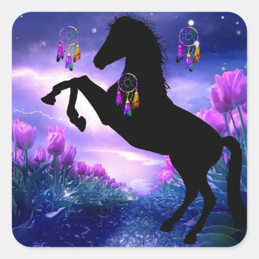 Drocatcher Vierkante Sticker (Voorkant)