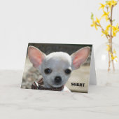 DROEVIG KAART (Gele Bloem)