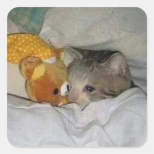 droevige kat in bed vierkante sticker