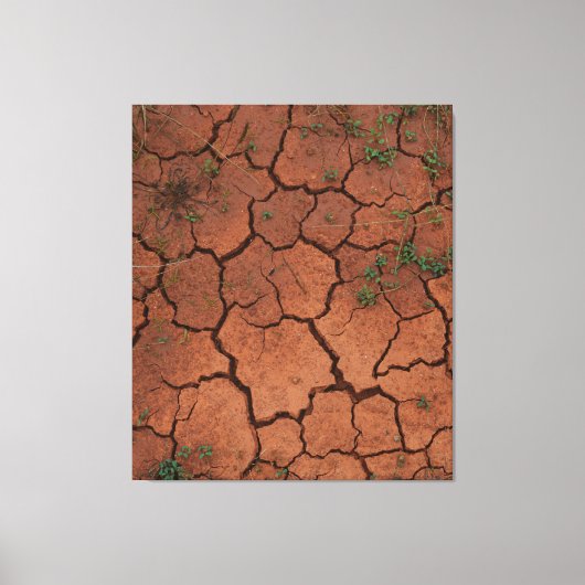 Droge, gebarsten grond canvas afdruk (Voorkant)