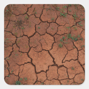 Droge, gebarsten grond vierkante sticker
