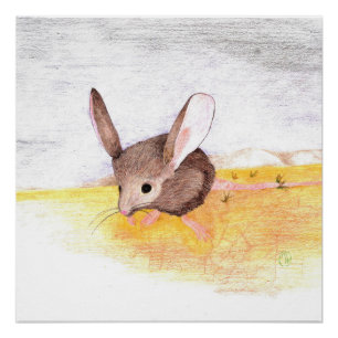 Droge muis perfect poster