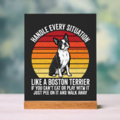 Drôle attitude de Boston Terrier Rétro (Neutre)