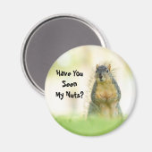 Drôle Avez-Vous Vu Mon Aimant Écureuil À Noix (Recto/Verso)