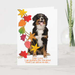 Drôle Bernese Mt. Chien Carte Thanksgiving