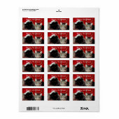 Drôle cadeau de Noël Étiquettes (Feuille entière)