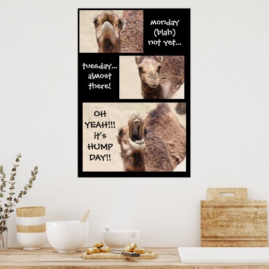 Drôle Camel Hump Day COMPTDOWN Poster (24x36) (Cuisine)
