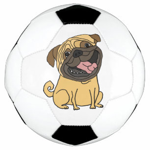 Drôle Carlin Chien Chien Chien Chien Chien Soccer 