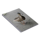 Drôle Carnet de canard à pattes (Côté Droit)