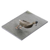 Drôle Carnet de canard à pattes (Côté gauche)