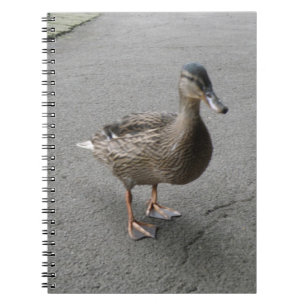 Drôle Carnet de canard à pattes