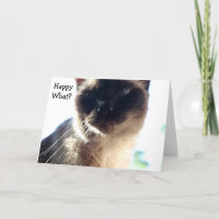 Drôle carte d'anniversaire avec chat : Happy What?