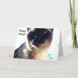 Drôle carte d'anniversaire avec chat : Happy What?