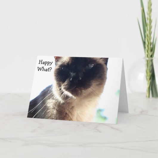 Drôle carte d'anniversaire avec chat : Happy What? (Devant)