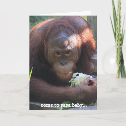 Drôle carte d'anniversaire, baiser d'anniversaire  (Devant)