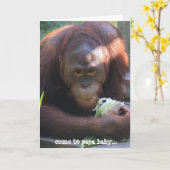 Drôle carte d'anniversaire, baiser d'anniversaire  (Fleur jaune)