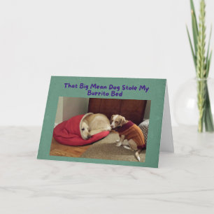 Drôle carte d'anniversaire Big Dog dans Little Dog