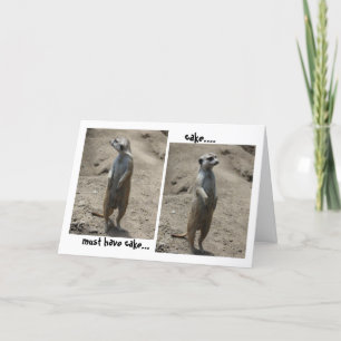Drôle carte d'anniversaire Meerkat; doit avoir du