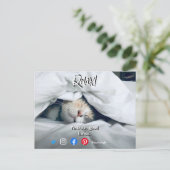 drôle carte postale de l'immobilier détendu chat (Debout devant)