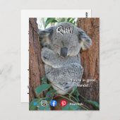 drôle carte postale immobilier détendu koala (Devant / Derrière)