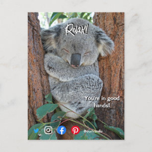 drôle carte postale immobilier détendu koala