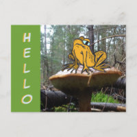 Drôle Carton de crapaud sur Toadstool HELLO Carte 