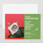 Drôle Cat Pain Masque Noël Stupide Carte photo (Devant / Derrière)