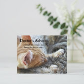 Drôle Chat Booze Se Bien Bientôt Carte Postale (Debout devant)