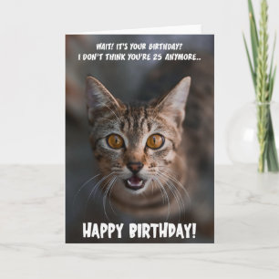 Drôle Chat Chat Carte de voeux Anniversaire