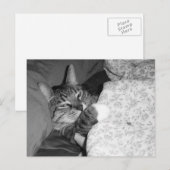 Drôle Chat couché dans la carte postale du lit (Devant / Derrière)