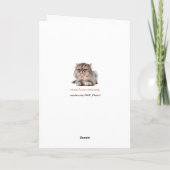 Drôle Chat Cranky "Le Catinateur" carte de Noël (Dos)