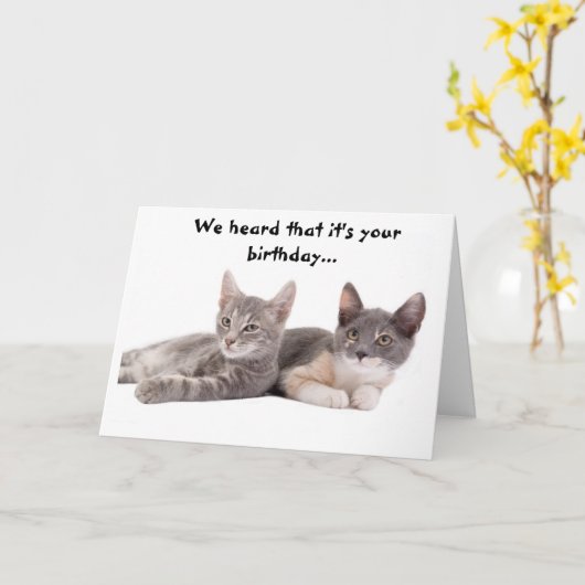 Drôle Chat 'Donnez-nous du thon' Carte d'anniversa (Fleur jaune)