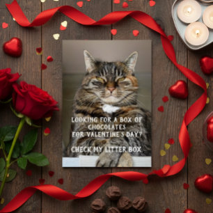 Drôle Chat Valentine's Day Mème Anti-Valentine