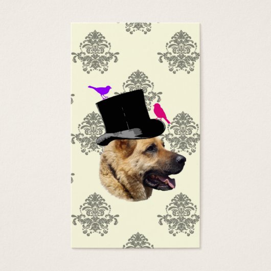 Drôle chien berger allemand (Devant)