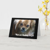 Drôle Chien Chien Chien Chien Carte Anniversaire (Fleur jaune)