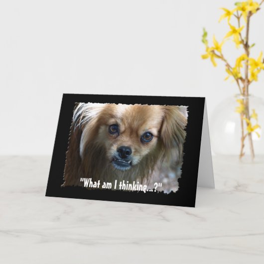 Drôle Chien Chien Chien Chien Carte Anniversaire (Fleur jaune)