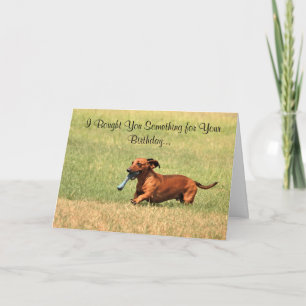 Drôle chien Dachshund Bonne carte d'anniversaire.
