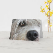 Drôle Chien face vers le haut fermer carte d'anniv (Fleur jaune)