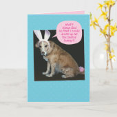 Drôle Chien habillé Comme Bunny Pâques Carte de Pâ (Fleur jaune)