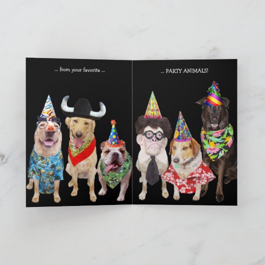 Drôle Chien/Lab Carte d'anniversaire pour Guy (Intérieur)