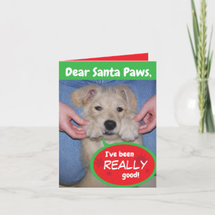 Drôle Chien Père Noël Paws Carte de voeux pliée de