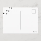 Drôle Citation Black Cat Carte postale (Dos)