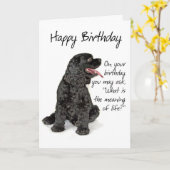 Drôle Cocker Spaniel Carte d'anniversaire (Fleur jaune)