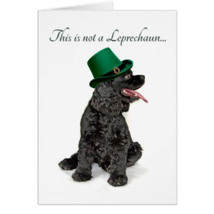 Drôle Cocker Spaniel Leprechaun Card