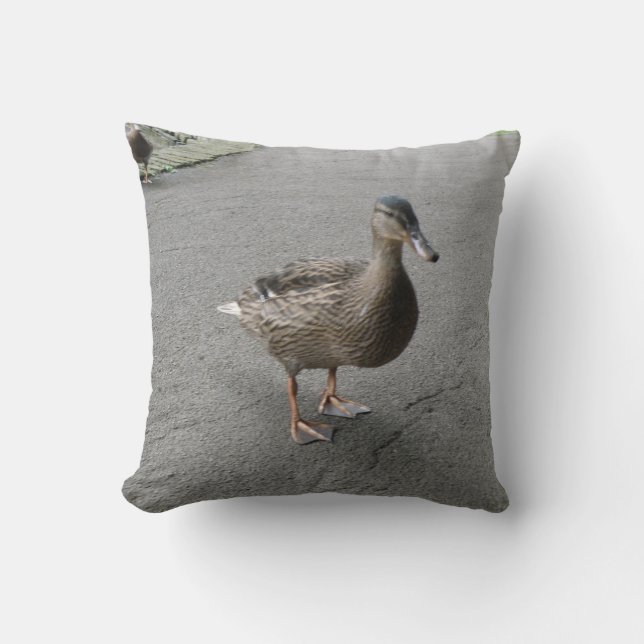 Drôle Coussin de canard (Recto)