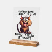 Drôle dame de chat de mot art (Angle)