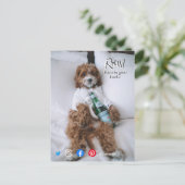 drôle de carte postale relax lit chien (Debout devant)