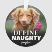 Drôle de Photo Animal de Noël 2 (devant)