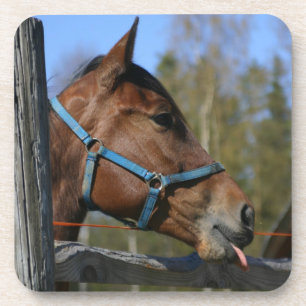 Drôle dessous de verre à cheval